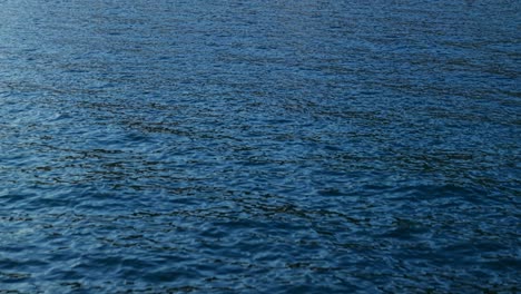 calm water surface reflecting light during sunset along the mediterranean sea