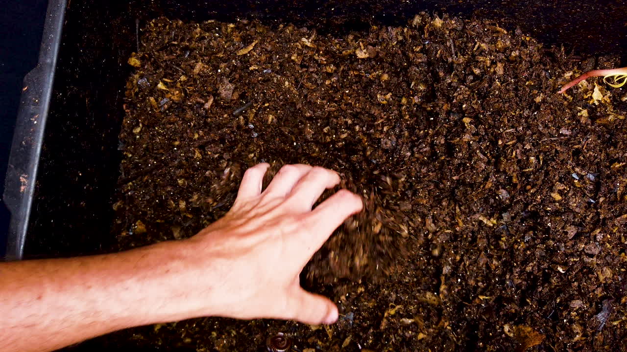 persona volteando materia orgánica en descomposición, humus de lombriz, compost