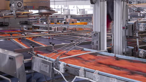 the conveyor belt that transports and checks the eggs in a packaging factory