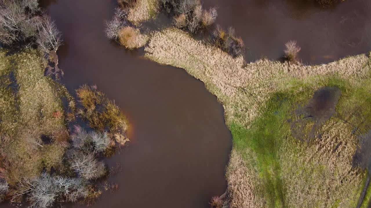 Aerial birdseye view of scenic landscape of vast flooded Sventaja river and coast line bushes in overcast spring day, wide angle drone shot moving forward