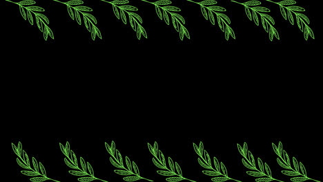 Tropische-Sommerpflanzen,-Blätter,-Blumen,-Rahmenanimation-Mit-Einer-Kopierraumbereich-Loop-Animation-Mit-Alphakanal