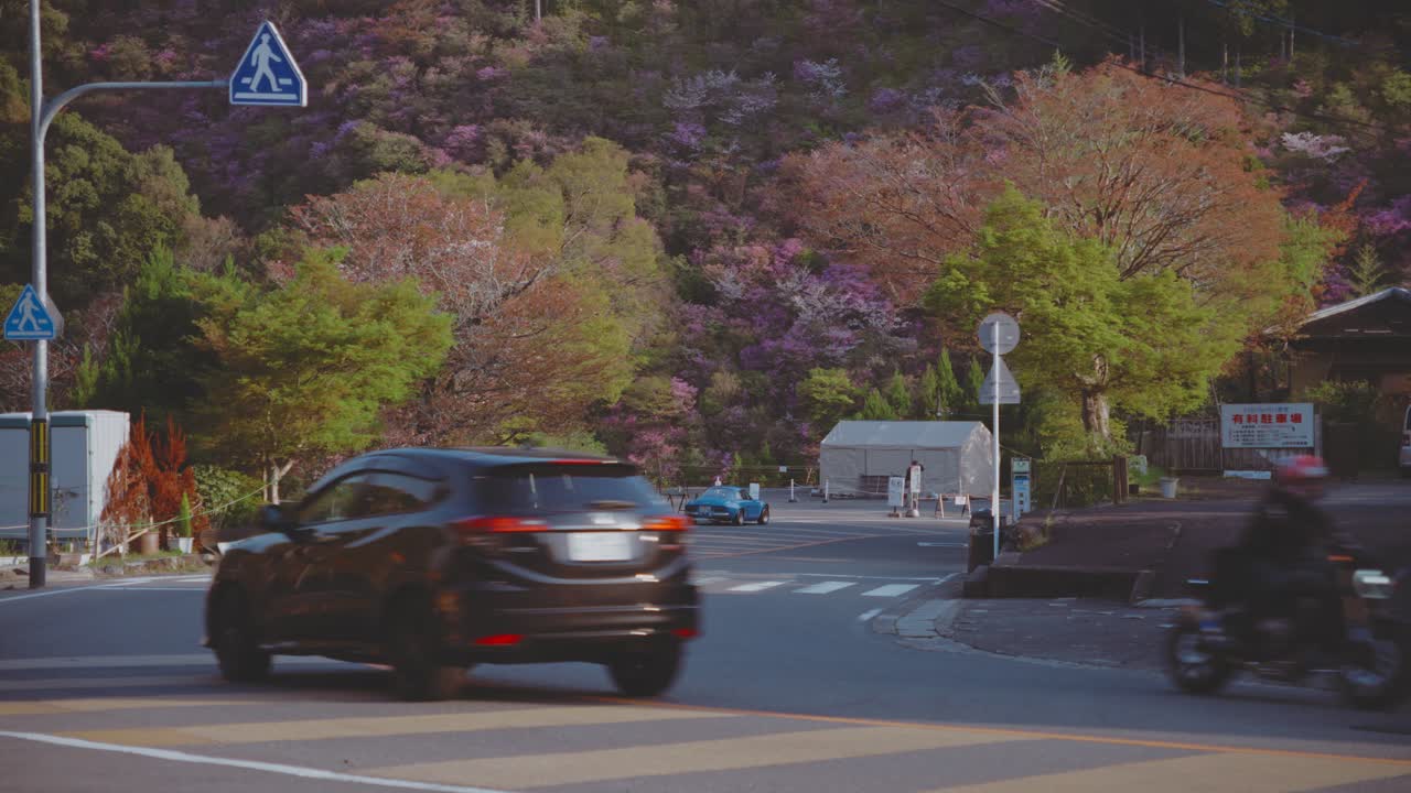Japanese Countryside Road in Spring
