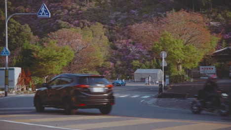 japanese countryside road in spring