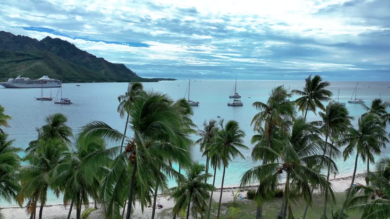 Tahiamanu Beach, Moorea, French Polynesia - Soaring Alongside Palm Trees - Drone Flying Forward