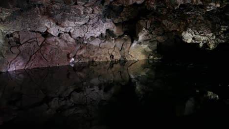 bats fly in around a cave with a pool at night 1