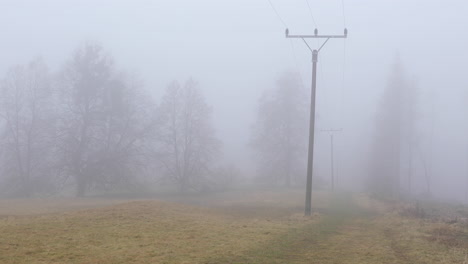 a forest road in the fog through which power poles pass