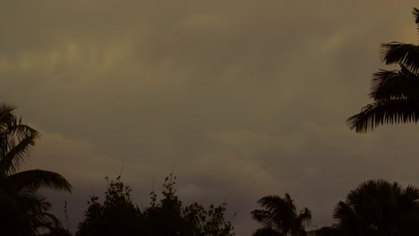 Lightning-flashing-in-storm-clouds-above-a-tropical-garden-at-dusk