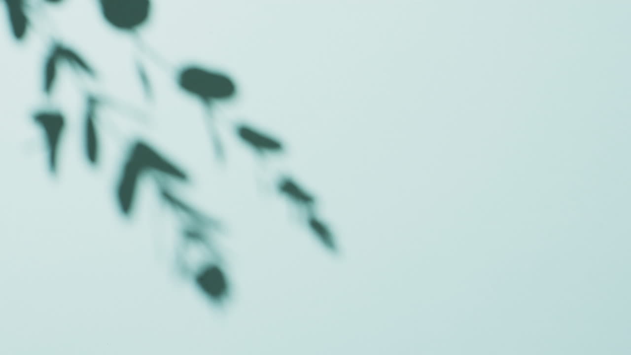 파란색 배경 위에 복사 공간과 함께 움직이는 잎을 가진 가지의 애니메이션