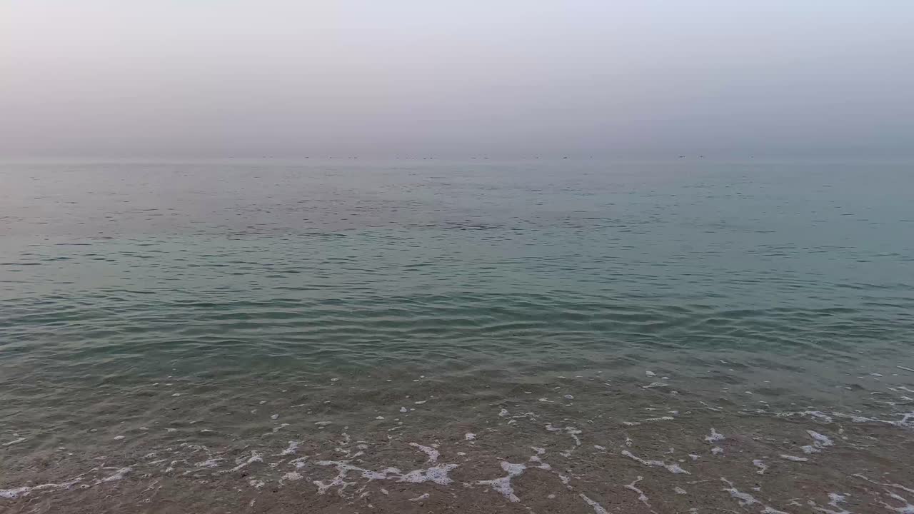 바가 해변 산호초 둥지 호크스빌 거북이 해양 서식지 해안 생태계 모험 생활 거북이 보존 경치 좋은 수중 풍경 자연 관광 열대 목적지 보호 이란