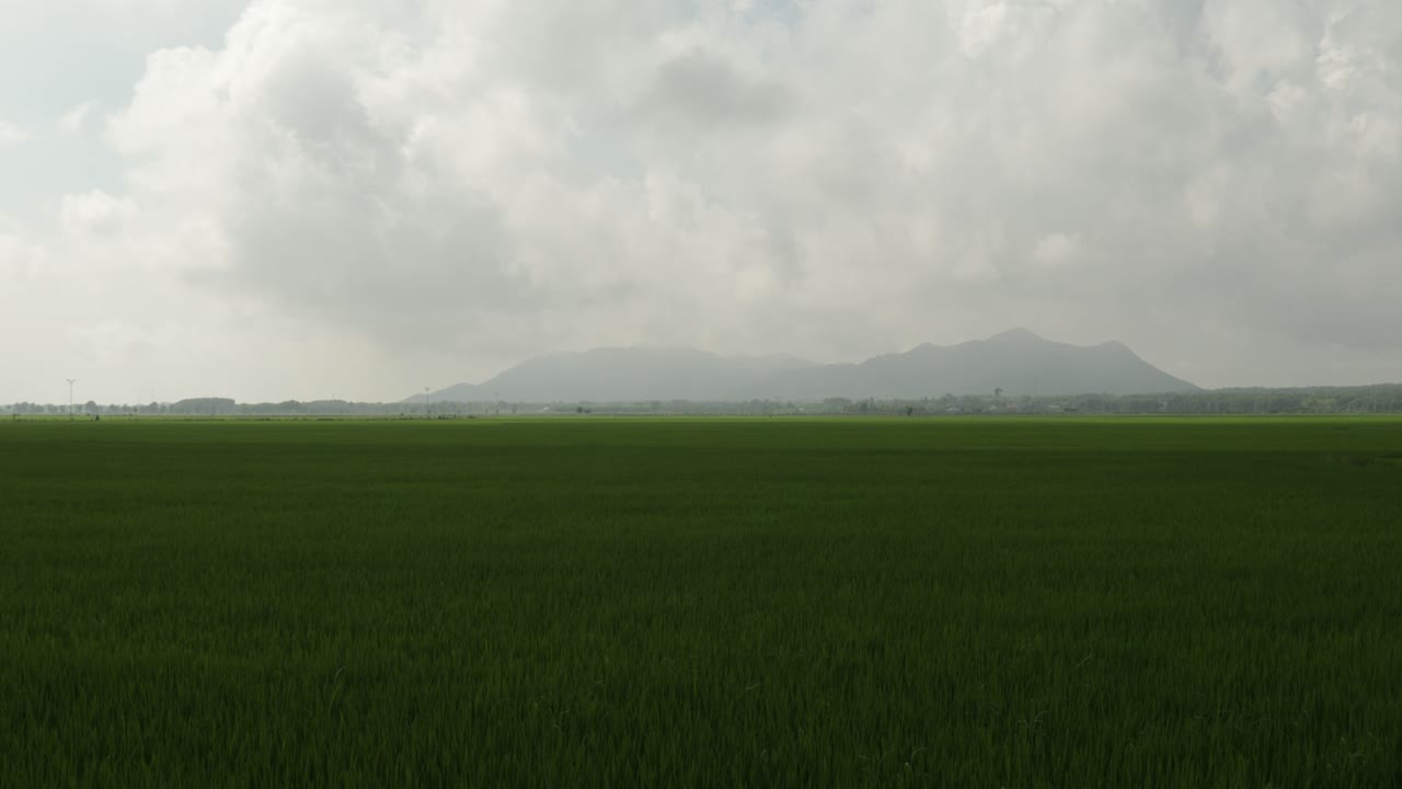 View of the Rice Field and the Mountain During a Cloudy Afternoon