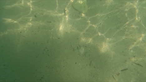 Feet-walk-through-the-clear-sea-water-with-a-white-sandy-bottom