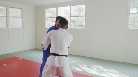 judokas training by doing a randori on the judo mat