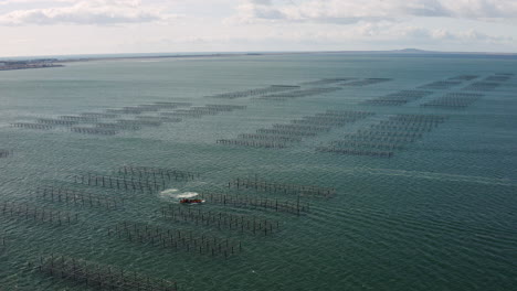 Luftdrohnenaufnahme-Eines-Fischerbootes,-Das-In-Den-Austernfarmen-Im-Bassin-De-Thau-Arbeitet