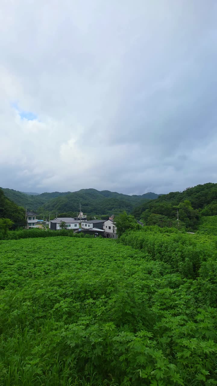 Dynamic cloudy sky over rural villas and lush farmland in Gapyeong County, a popular Korean eco tourism destination - timelapse