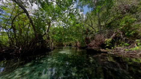 Fpv-flight-over-beautiful-Tropical-Rio-Cano-Frio-River-in-deep-jungle-of-Samana,-Dominican-Republic