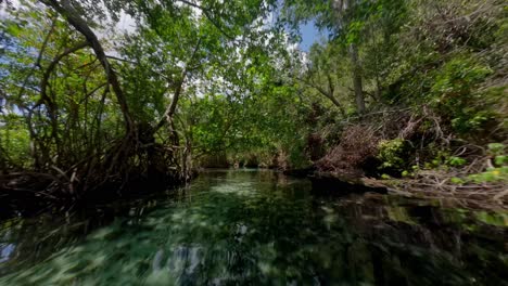 vuelo en fpv sobre el hermoso río tropical rio cano frio en la selva profunda de samana, república dominicana