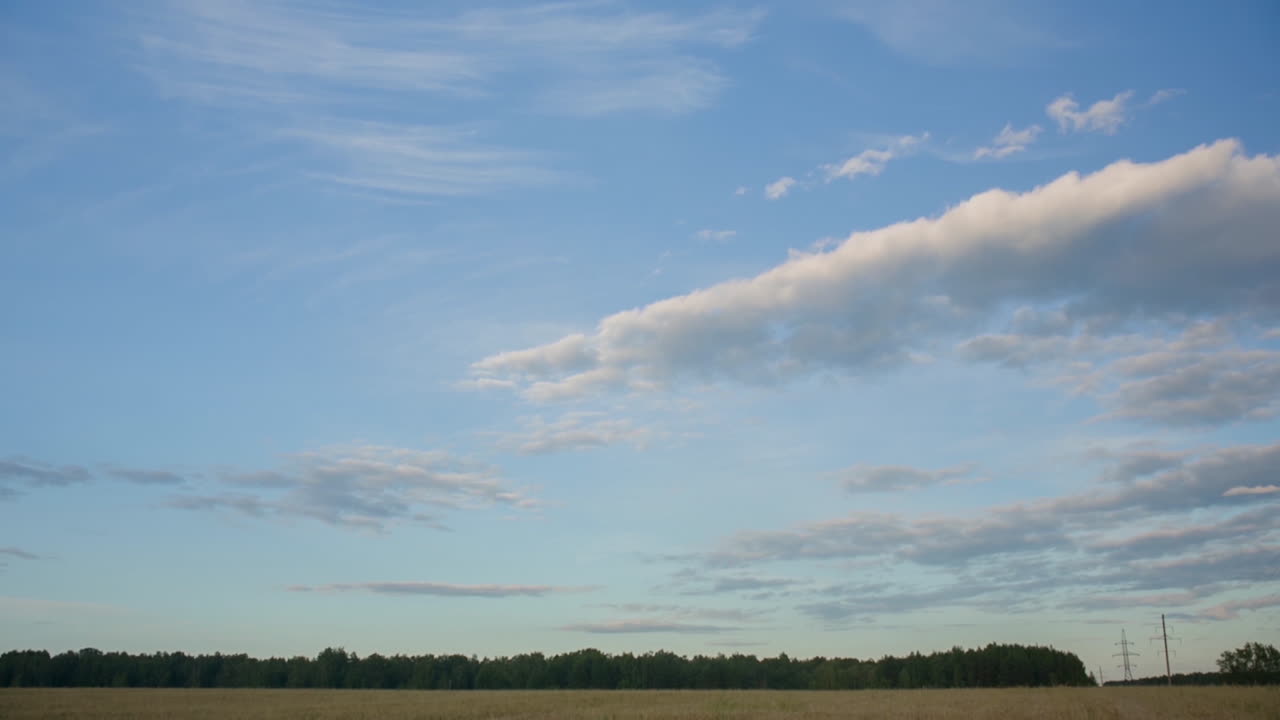 Blue Sky with Clouds over Forest | Premium Stock Video Footage