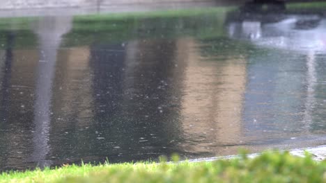 light to moderate rain on a neighborhood street