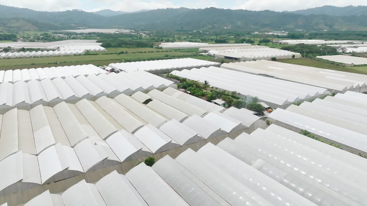 Large Greenhouse area in Ocoa, Dominican Republic during foggy summer day. Growing of vegetables in modern greenhouse buildings. Aeria flyover shot