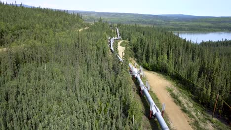 alaska pipeline in boreal spruce tree forest landscape - breathtaking aerial drone view