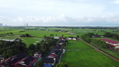 shot slightly pan tilts up revealing the greenery beyond the horizon at midday