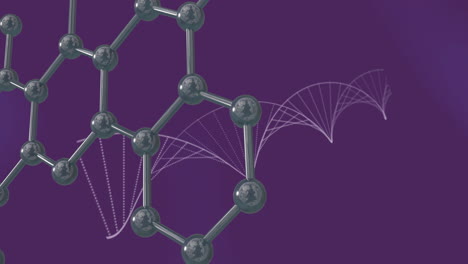 Animación-De-Moléculas-Flotantes-Sobre-Cadenas-De-ADN-Sobre-Fondo-Morado.