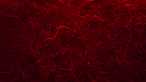 Chaotic-Threadworms-In-Red-Light