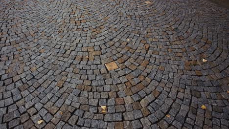 Detailed cobblestone pavement with circular patterns in Bratislava