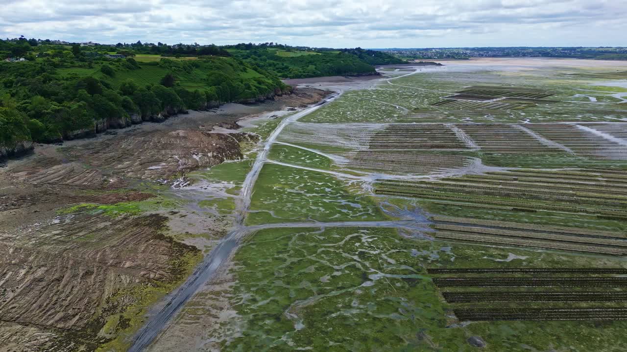 Top-down drone shot following a path between oyster farms and cliffs in Brittany during low tide - France
