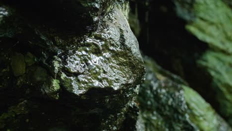 Water-drips-over-stones-along-Wissahickon-Creek