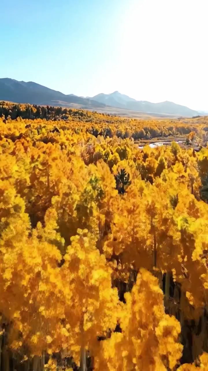 Paesaggio autunnale vibrante: una splendida esposizione di fogliame dorato con maestose montagne e uno specchio d'acqua sereno sullo sfondo