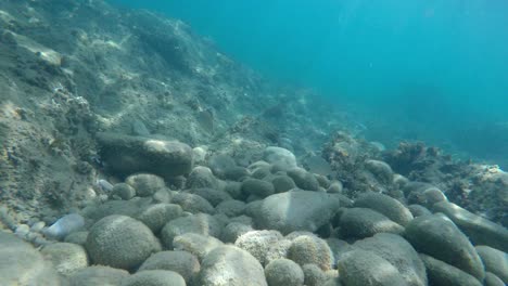 Close-up-submerged-action-cam-at-sea