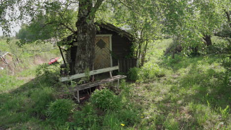 Old-rustic-overgrown-hut-in-nature