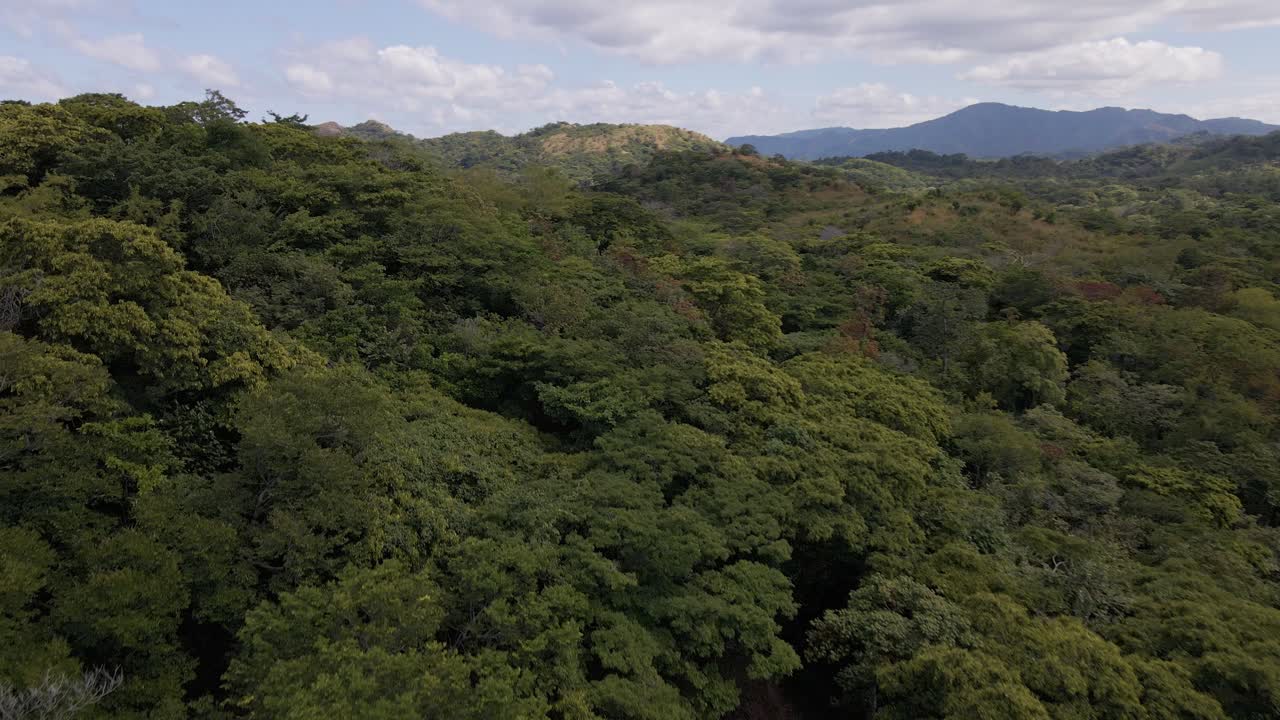 toma aérea ascendente sobre árboles densos que revelan una hermosa costa en la provincia de guanacaste, costa rica