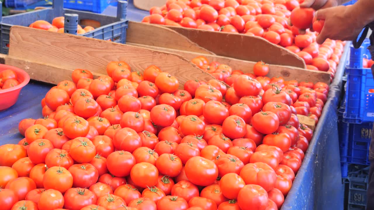 야외 시장 에서 신선 한 토마토 를 판매 하는 판매자