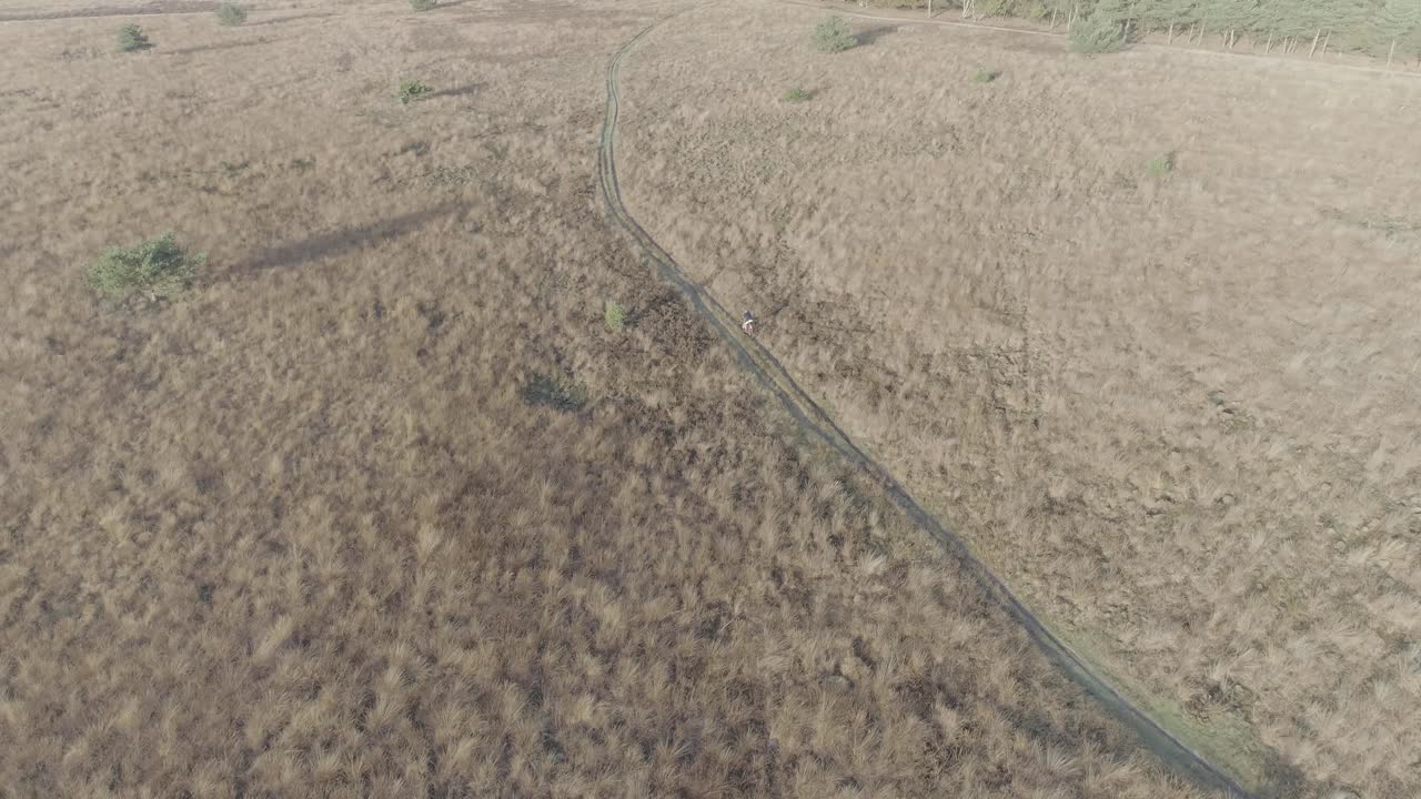 Ripresa drone di un mountain biker che attraversa un campo naturale.