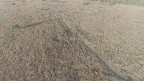 Drone-shot-of-mountainbiker-riding-through-a-nature-field