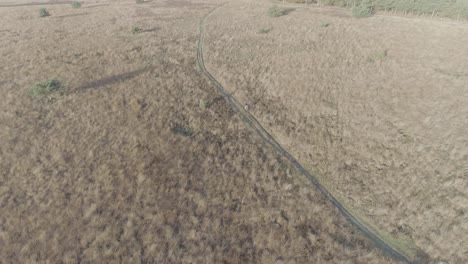 tiro de drone de mountainbiker cabalgando a través de un campo de la naturaleza