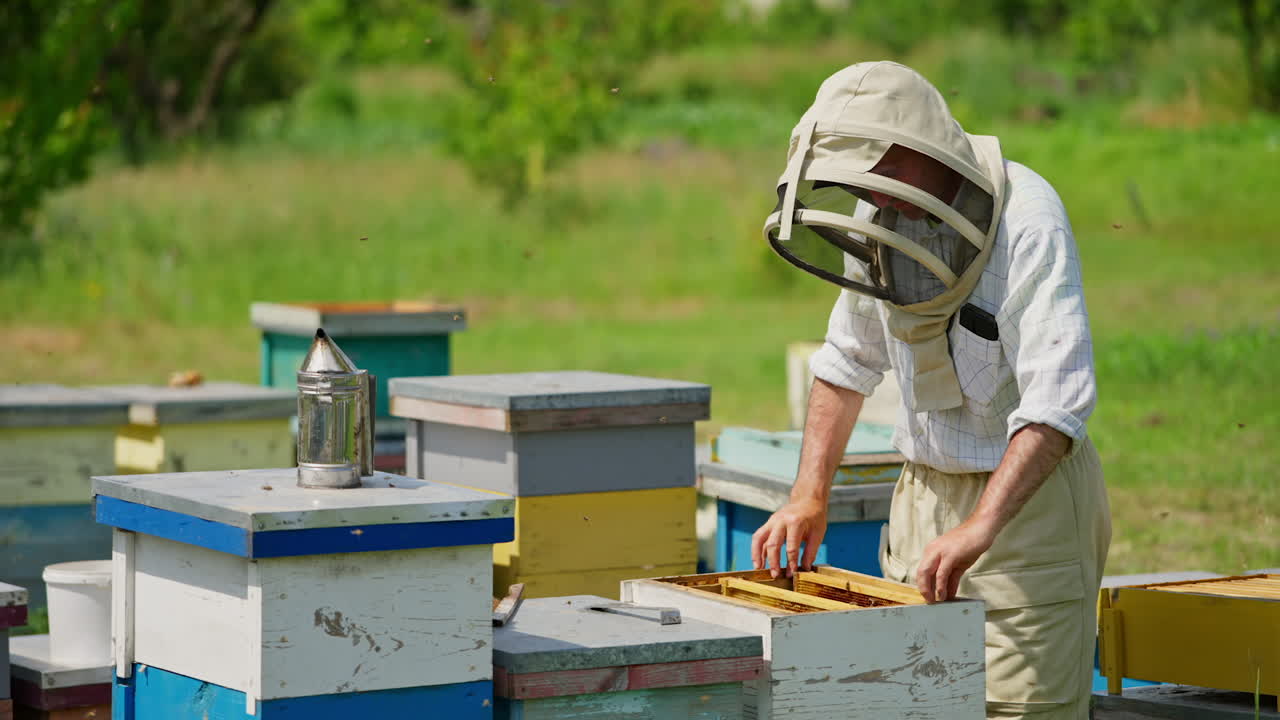 Industrious male beekeeper in hat for protection checking up his farm. Apiarist looks at honey frames from both sides. Blurred nature backdrop.