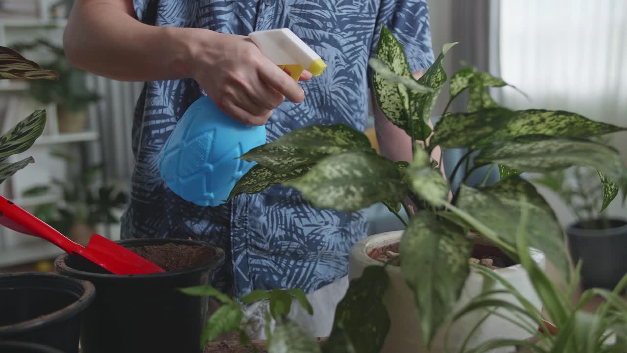 男性がリビングルームで観葉植物の世話をしている。