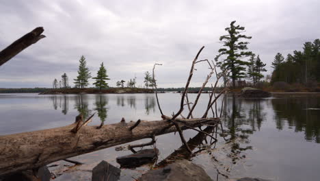 still shot in front of a lake in fall