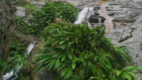 Beautiful-river-and-its-plants-and-stones