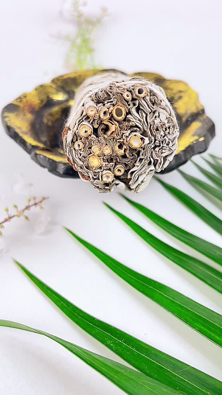 White Sage Smudge Stick