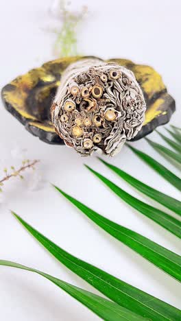 white sage smudge stick