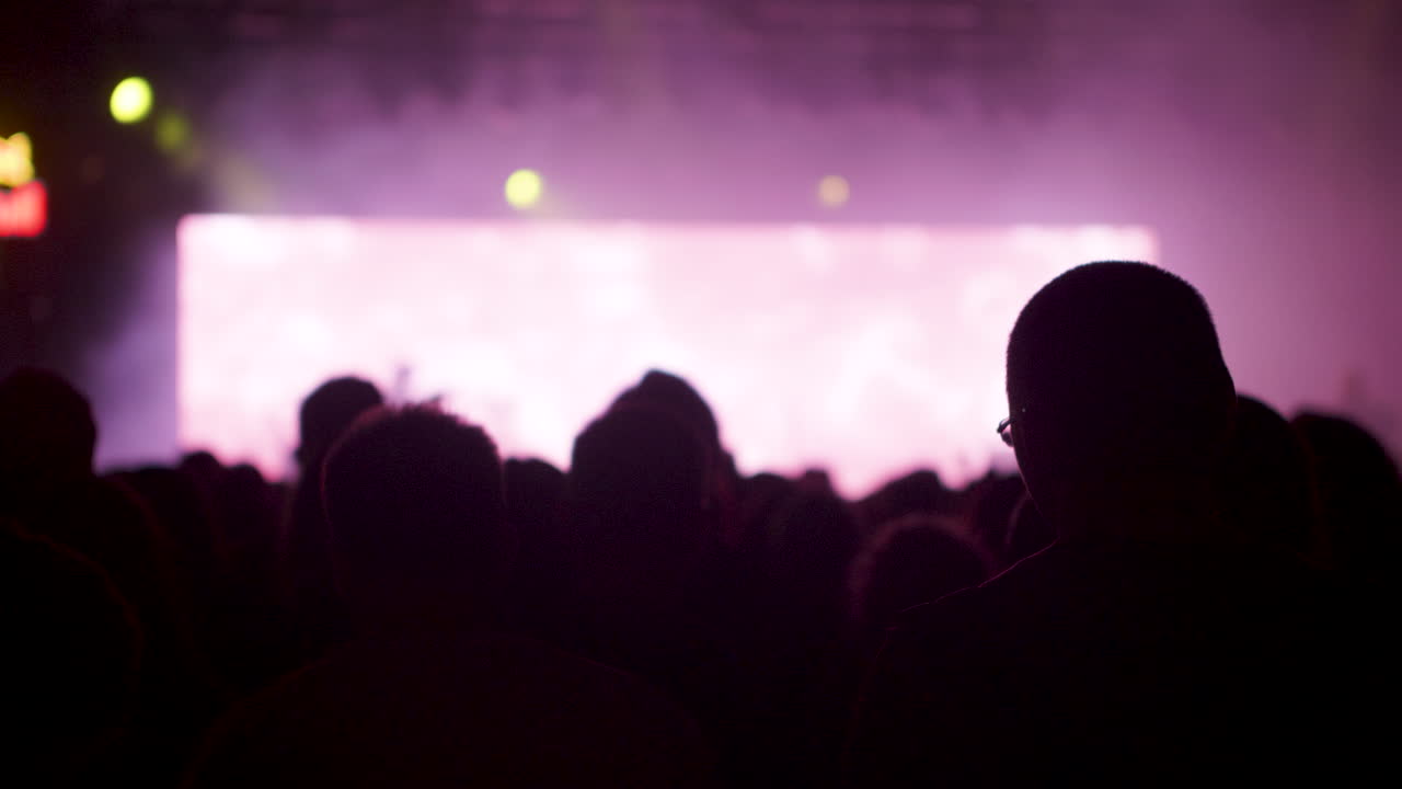 Folla di concerti di notte