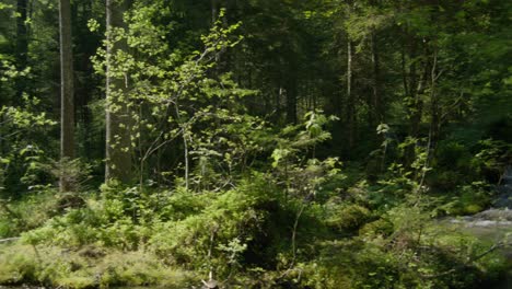 panning shot of scenic forest and stream | grindelwald switzerland cave in glacier canyon, europe, 4k