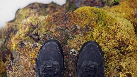 top down shot of black sneakers standing on the ledge of a valley surrounded by moss on the ground