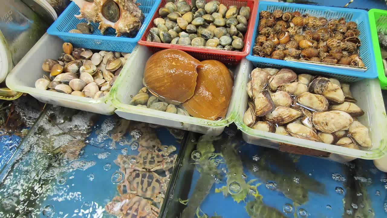 exhibición del mercado de mariscos frescos