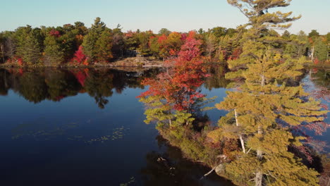 Flying-over-tranquil-Lake-water-with-reflection-of-the-fall-trees-and-sky-clearly-visible-around-the-Muskoka-Cottage-,-Autumn-Canada-Ontario