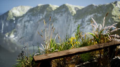 fresh grass at big rocky cliff in ocean